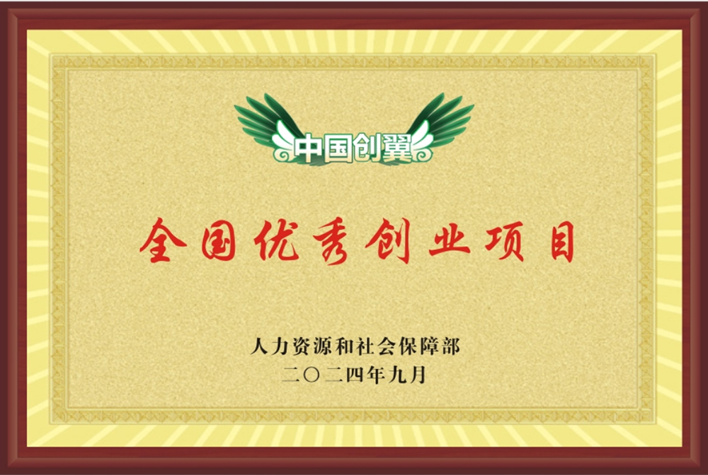 全国优秀创业项目